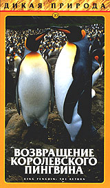 Дикая природа 20 Возвращение Королевского пингвина Серия: Дикая природа инфо 7458g.